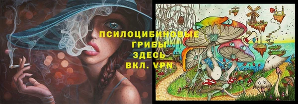 МДПВ Алексин