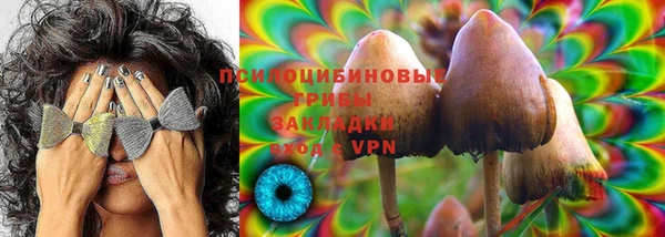 МДПВ Алексин