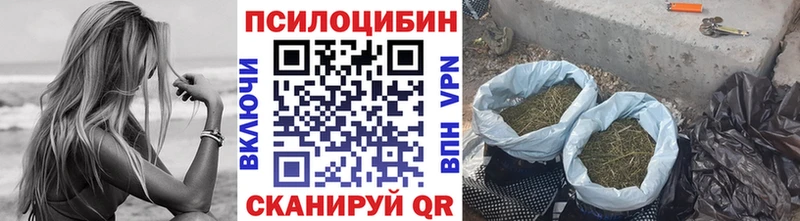 Галлюциногенные грибы Cubensis Березники